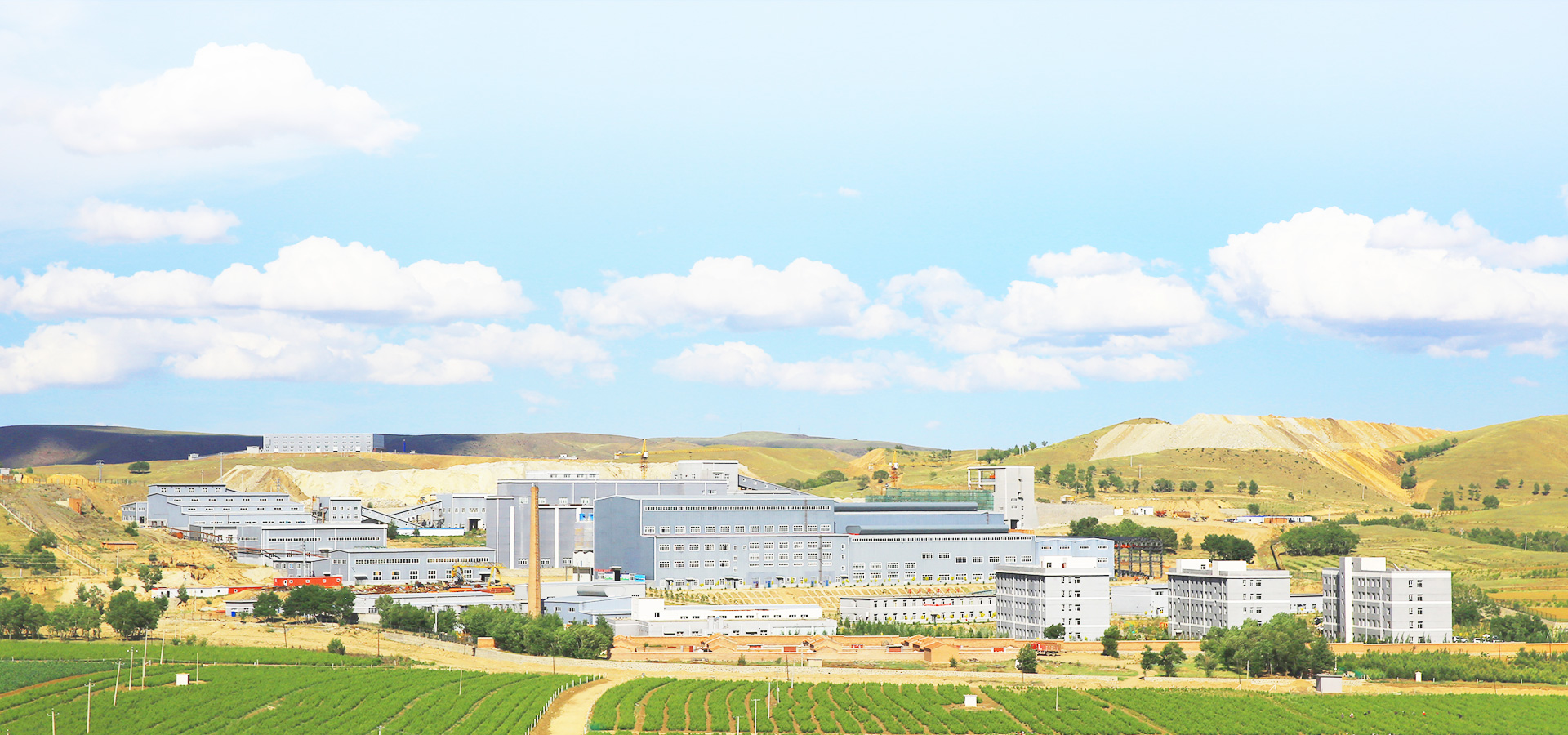 实现企业生长，，，，，，成绩员工价值，，，，，，践行社会责任。。